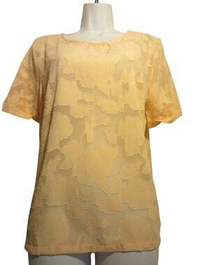 ANTHROPOLOGIE Sunday in Brooklyn pale peach blouse top sheer Women L $50